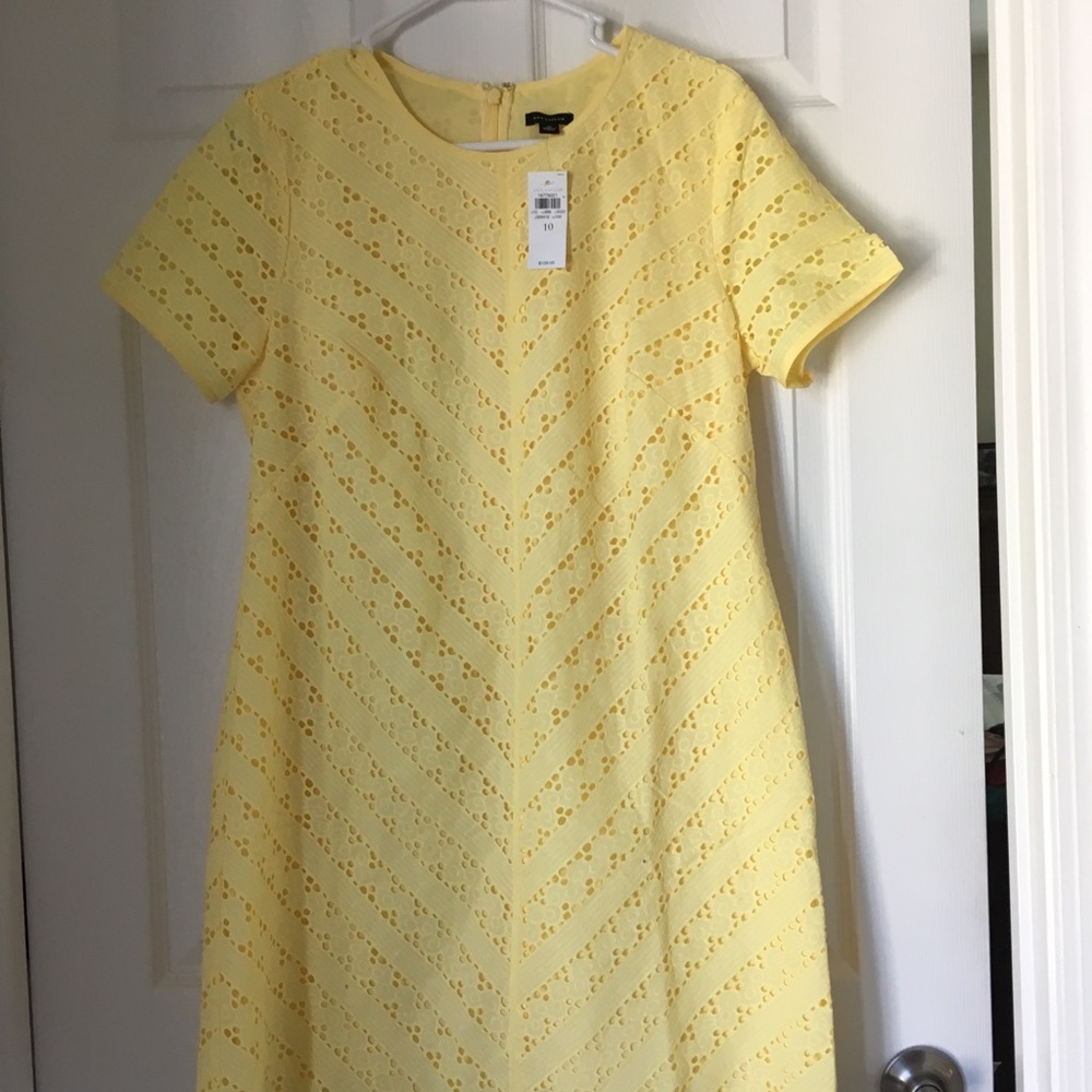 Ann Taylor NEW yellow dress